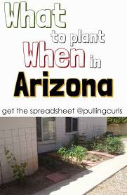 Free shipping on qualified orders. Arizona Planting Guide Pulling Curls Arizona Gardening Arizona Backyard Arizona Landscape