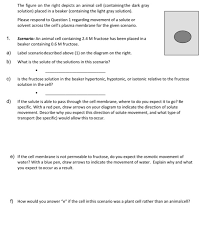 Check spelling or type a new query. 31 Draw And Label An Animal Cell Labels For Your Ideas
