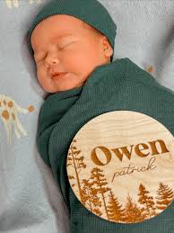 my sweet little honey bunnies🥰🐰