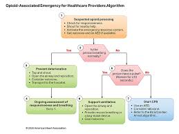 The pediatric cardiac arrest algorithm outlines the steps of care and management of infants with cardiac arrest. Algorithms American Heart Association Cpr First Aid