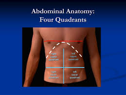 Human anatomydefinitionhuman anatomy is the study of the structure of the human body and the the quadrant system is often used by health care workers during examinations to localize pain. Ppt Abdominal Trauma Powerpoint Presentation Free Download Id 1184536