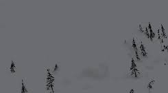 Https Encrypted Tbn0 Gstatic Com Images Q Tbn And9gcrghcjbydonv18wzifloaoc4e7ph2bbzhx5lg Usqp Cau