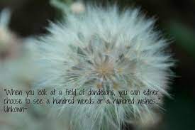 Pin On Dandelions