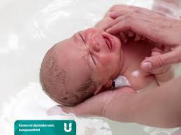 > 10 rekomendasi bak mandi terbaik untuk bayi saat berumur di bawah enam bulan, bayi perlu berada dalam kondisi bersih dan segar agar terhindar dari penyakit. Ginyqsij38dohm