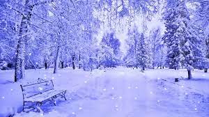 We have an extensive collection of amazing background images carefully chosen by our community. Winter Themed Wallpaper Hd Kolpaper Awesome Free Hd Wallpapers