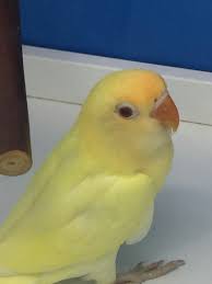 Pin Van Angie Op Fotos Increibles