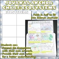 Ecosystem Anchor Chart Worksheets Teaching Resources Tpt