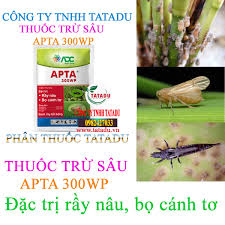 Apta 300WP