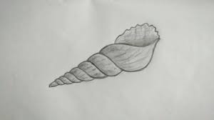 4.draw some lines on the conch shell, as. How To Draw Conch Shell Drawing Step By Step For Biggeners Drawing Tutorial Youtube
