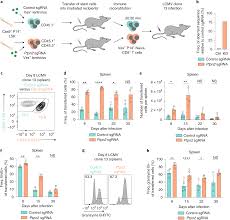 Ptpn2 Regulates The Generation Of Exhausted Cd8 T Cell