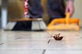 Honey may speed up healing, and is also known to reduce itching and pain. 22 Natural Pest Control Methods To Rid Your Home Of Creepy Crawlies Cheapism Com