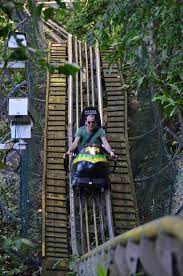 Home to modern facilities, the park is a popular spot for kids and adults of all ages. Mystic Mountain