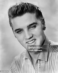 24 411956 Stock Photos, High-Res Pictures, and Images