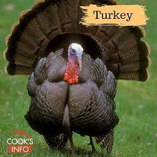 Check spelling or type a new query. Turkey Cooksinfo