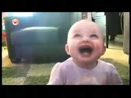 Maybe The Best Funny Dogs Compilation Ever Americas Funniest Home Videos Part 370 Very Funny America S Funniest Home Videos Funny Home Videos Funny Dogs