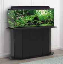 Maybe you would like to learn more about one of these? Aquarium Stand 55 Gallon Black Solid Wood Storage Fish Tank Not Included Ebay
