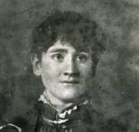 The Phelan and Healy Family Tree