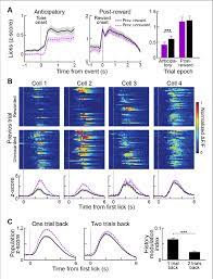 Definition of licking (entry 2 of 2). Reward History Modulates Anticipatory Licking Behavior And Download Scientific Diagram