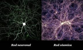 Similitudes del cuerpo humano con el universo- Las estructuras del universo  y el cerebro humano son totalmente similares, al punto que sorprenden a  escépticos y científicos. Si pueden observar a detenimiento, las