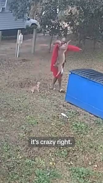 A man in South Carolina saved his Chihuahua from a coyote by grabbing the animal by the tail and dropping it into a dumpster. He called animal control to take care of the situation and then went to ...