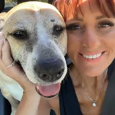 Rudy found himself at the Coachella Valley Shelter as a stray. He had a  microchip but wasn't claimed. We made him a Frosted Face and immediately  scheduled surgery to remove a bunch