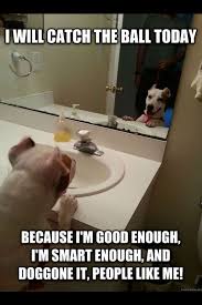 Pin By Destiny Powers Love Yourself On Woman S Best Friend Funny Animal Pictures Funny Animals Funny Dogs