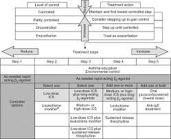 Global Strategy For Asthma Management And Prevention Gina