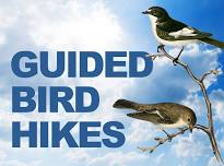 Bird Hike at Lake Elmo Park Reserve