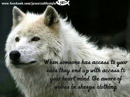 Wolves in sheep's clothing quotes. Quotes About Wolves And Sheep Quotesgram