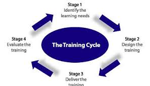 Image Result For The Training Cycle Diagram Train Cycle Diagram