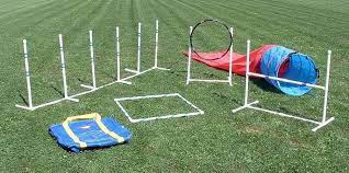 Dog agility usa we carry a large assortment of high quality agility equipment at affordable prices. Dog Agility Equipment And Dog Training Products From Nw Agility We Love Your Dogs