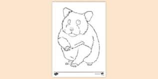 Hedgehog in the autumn forest. Free Hamster Cage Colouring Sheet Colouring Sheets