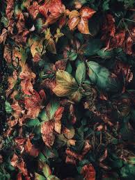 Find and save images from the wallpapers aesthetic collection by ♡˚✩彡 (estresadoss) on we heart it, your everyday app to get lost in what you see more about wallpaper, background and aesthetic. Hd Wallpaper Israel Haifa Moody Aesthetic Iphone Wallpaper Mobile Wallpaper Wallpaper Flare