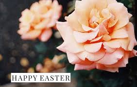 He Is Risen He Is Risen Christian College Instagram