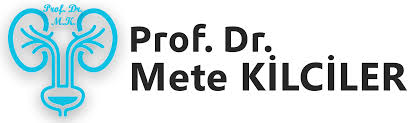 Tuvaletimizi oturarak yaptığımız tuvalete alafranga; Alafranga Mi Alaturka Mi Prof Dr Mete Kilciler