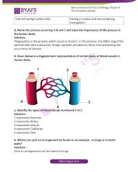 Blood vessels 11p image quiz. Selina Solutions Concise Biology Class 10 Chapter 8 The Circulatory System Available In Free Pdf