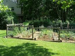 Vegie Garden For Slope Gardens Pinterest Fenced Vegetable Garden Small Garden Fence Sloped Garden