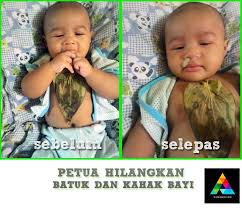 Petua Keluarkan Hingus Dan Kahak Bayi Menggunakan Daun Sirih Baby Baby Face Good To Know