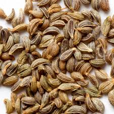 Image result for Petroselinum