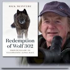 Sedona Wolf Week (@sedonawolfweek) • Instagram photos and videos