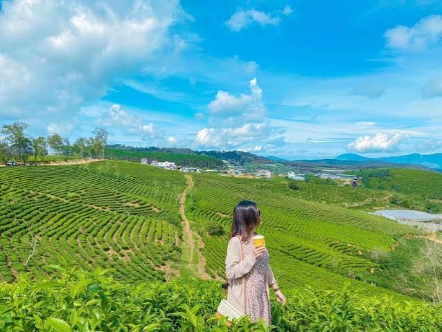 Địa điểm du lịch Đà Lạt: Top các địa điểm mới, hot nhất