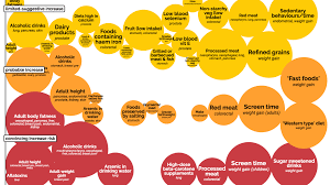 This Interactive Chart Shows How Your Lifestyle Can Change