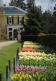 Tulip Festival Polesden Lacey English Country Gardens Beautiful Gardens British Garden