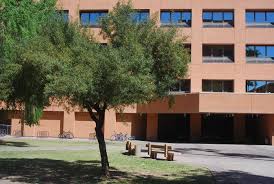 Image result for Salacia rhodesiaca