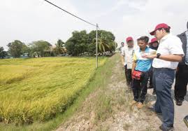 Data tanah terbiar mengikut daerah 2019 negeri pulau pinang. Jabatan Pertanian Negeri Pulau Pinang Doapenang Twitter