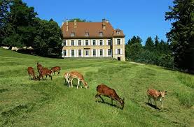 Parc Animalier Du Chateau De Moidiere Bonnefamille Isere France Isere France Isere France