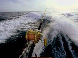 Try this new app and experience this effect on your phone. Sport Boat Wallpapers Top Free Sport Boat Backgrounds Wallpaperaccess