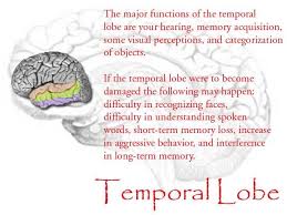 Untitled Document Temporal Lobe Epilepsy Invisible Disease Epilepsy Awareness