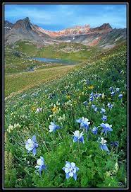 Pin On Amazing World