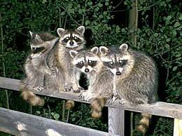 Read trusted reviews on local pros in east hampton, new york from real people. Best Of The Best Winners Spotlight Nardy Pest Control Dan S Papers